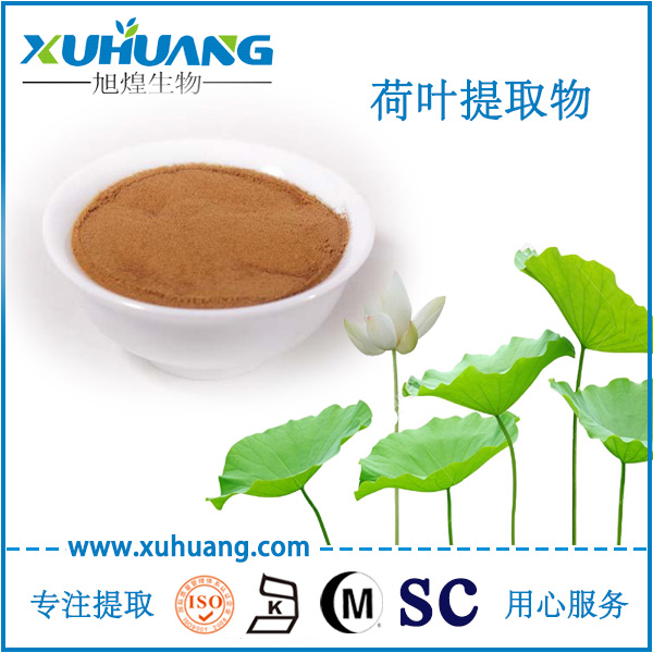 荷葉提取物